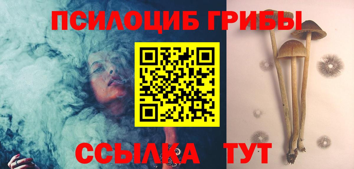 Шелехов  сколько стоит  Вход с VPN  Галлюциногенные грибы мицелий 